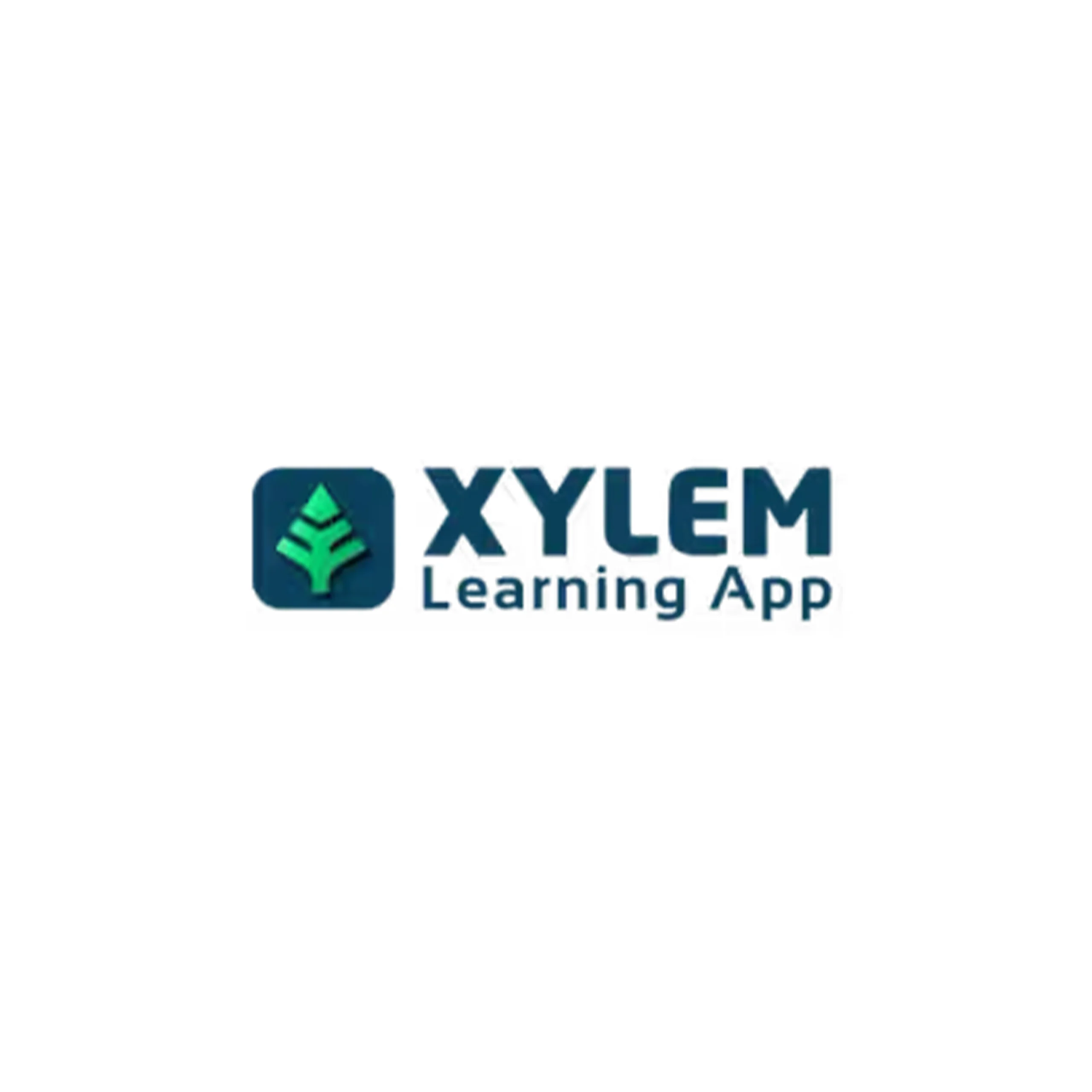 Xylem
